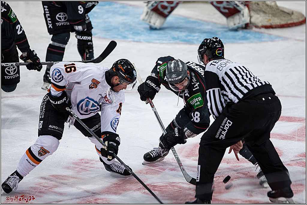 DEL, Koelner Haie - Grizzlys Wolfsburg, 21.02.2017